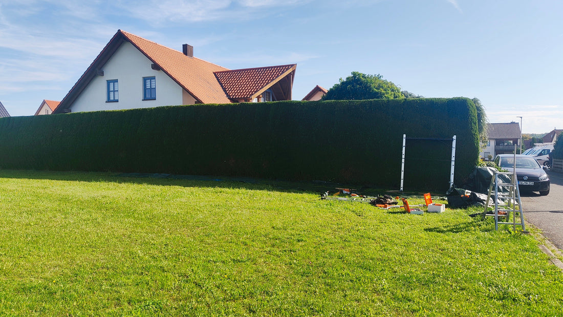 Hecke schneiden lassen in Schweinfurt, Dittelbrunn & Stadtlauringen – Warum regelmäßiger Heckenschnitt wichtig ist