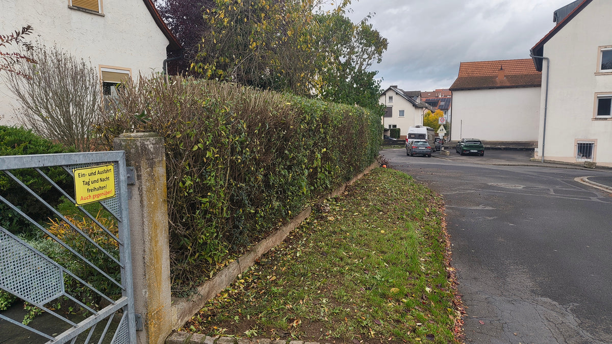 Ligusterhecke schneiden in der Nähe von Schweinfurt