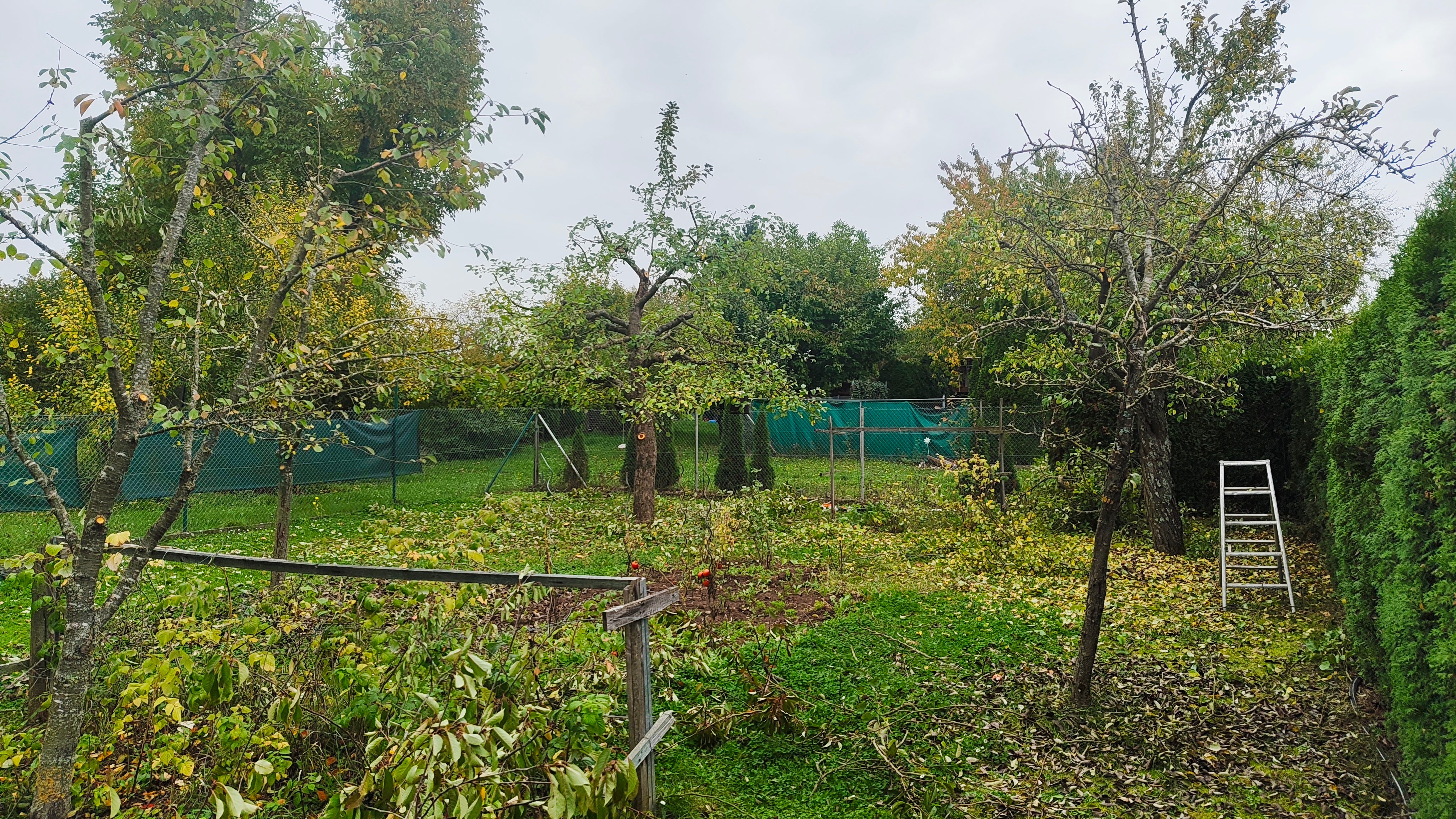 Gartenpflege Obstbaumschnitt Schweinfurt und Umgebung