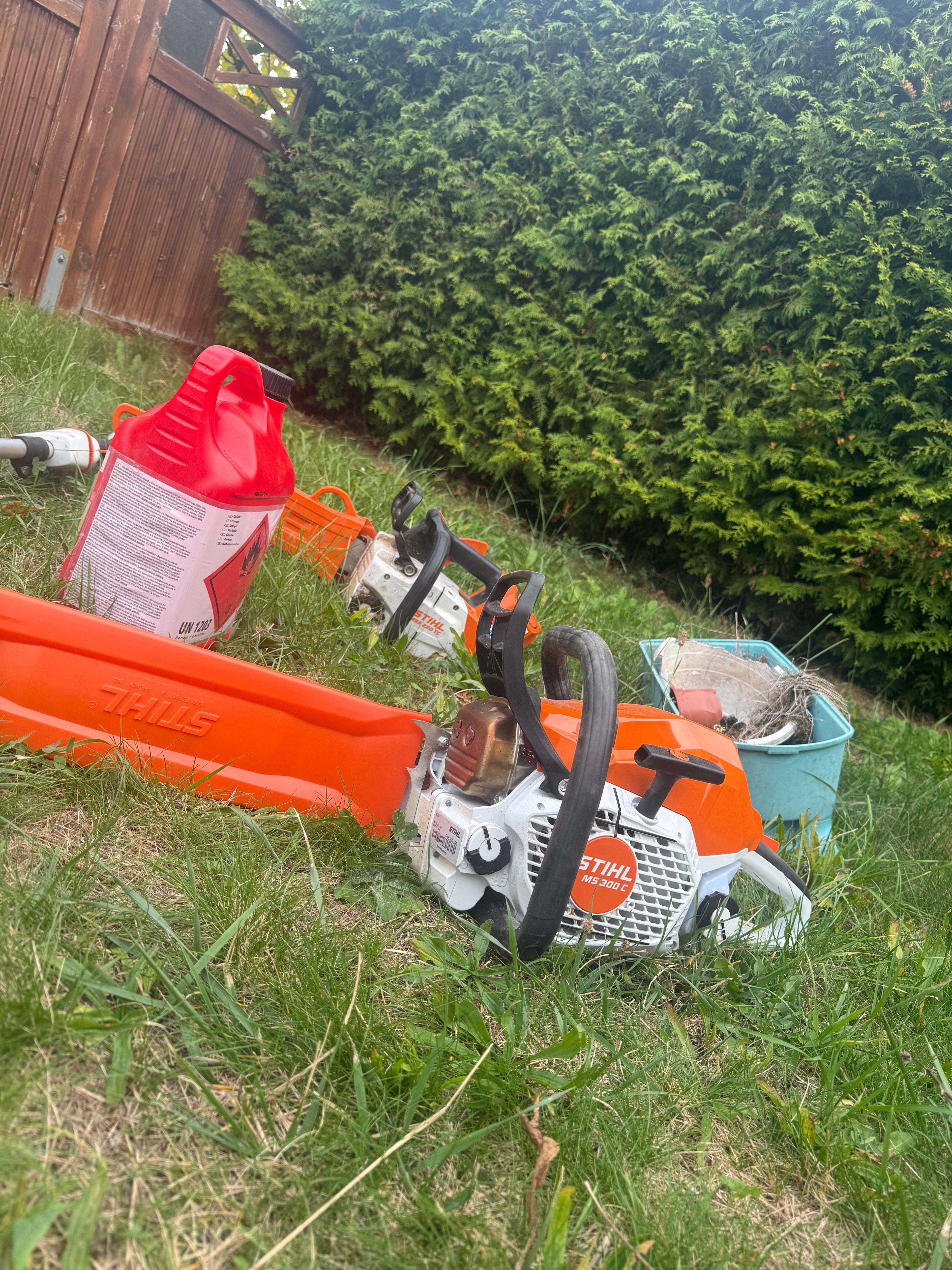 Fällkerb am Stamm bei einer klassischen Baumfällung im Garten bei Schweinfurt
