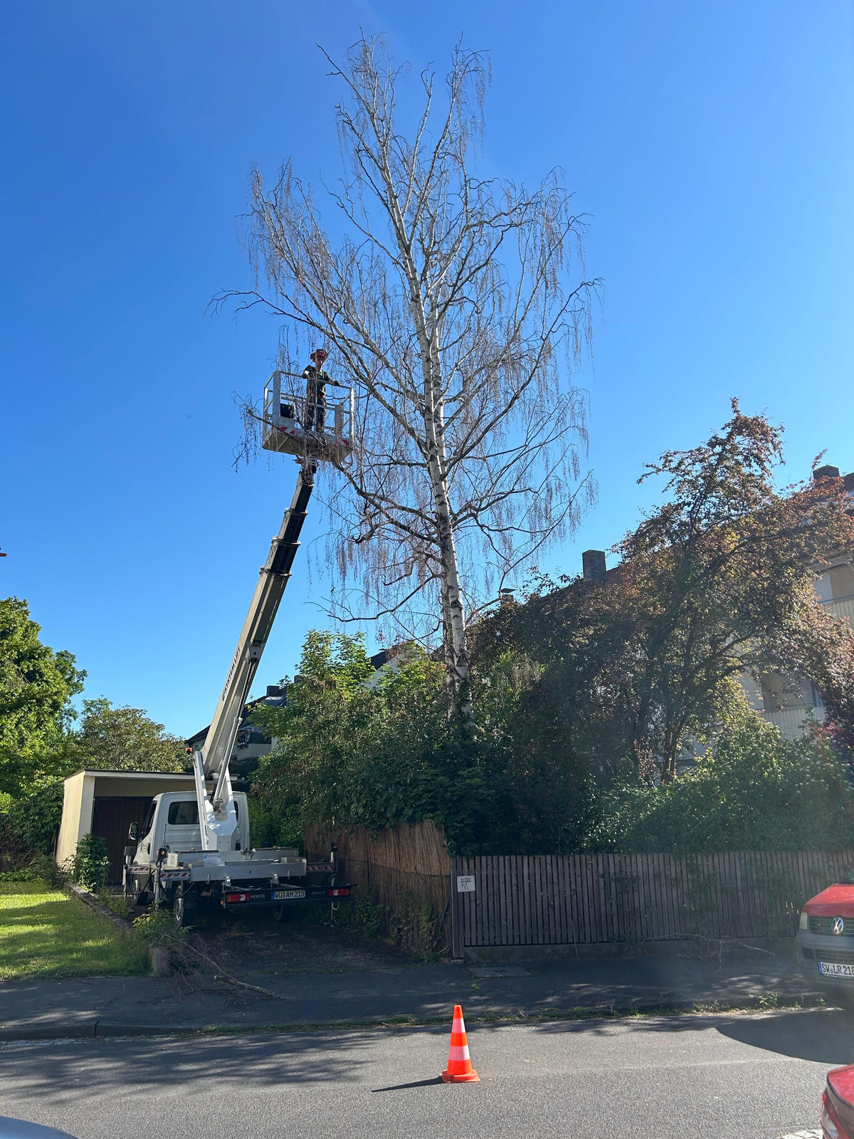Louis Rödamer fällt einen Baum in einem Privatgarten in Schweinfurt